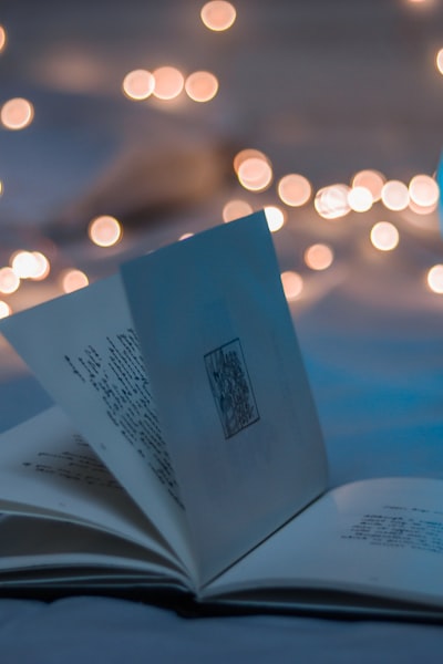 古装仙侠剧《长月烬明》高清海报，主演罗云熙、白鹿